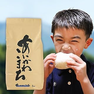 令和7年産 秋田県産 あきたこまち 30kg【玄米】(5kg小分け袋)【1回のみお届け】2025産