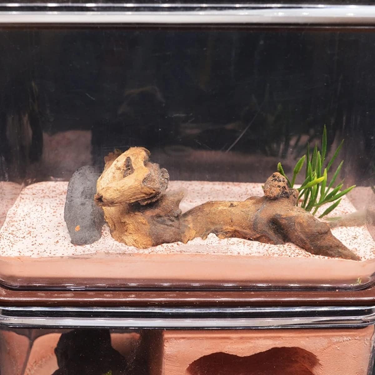 Stereoskopische Acrylbeobachtung Nest Ameisenburg aus Gips, Ameisenaufzuchtkasten, Betonhabitat, Ameisenhauskasten, Ameisenwerkstatt-Kit, Ameisenfütterungsvilla, geeignet for Kinder und Erwachsene, wi