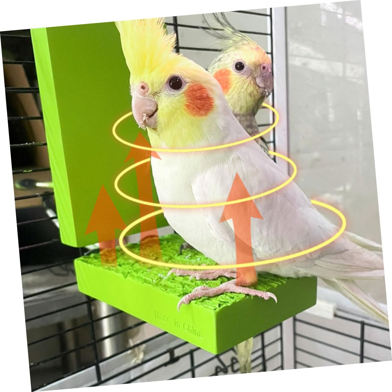 DOITOOL Plataforma Calefactora para Periquitos y Loros Soporte Térmico Accesorio De Jaula para Aves Protección Frío Fácil De Instalar y Limpiar