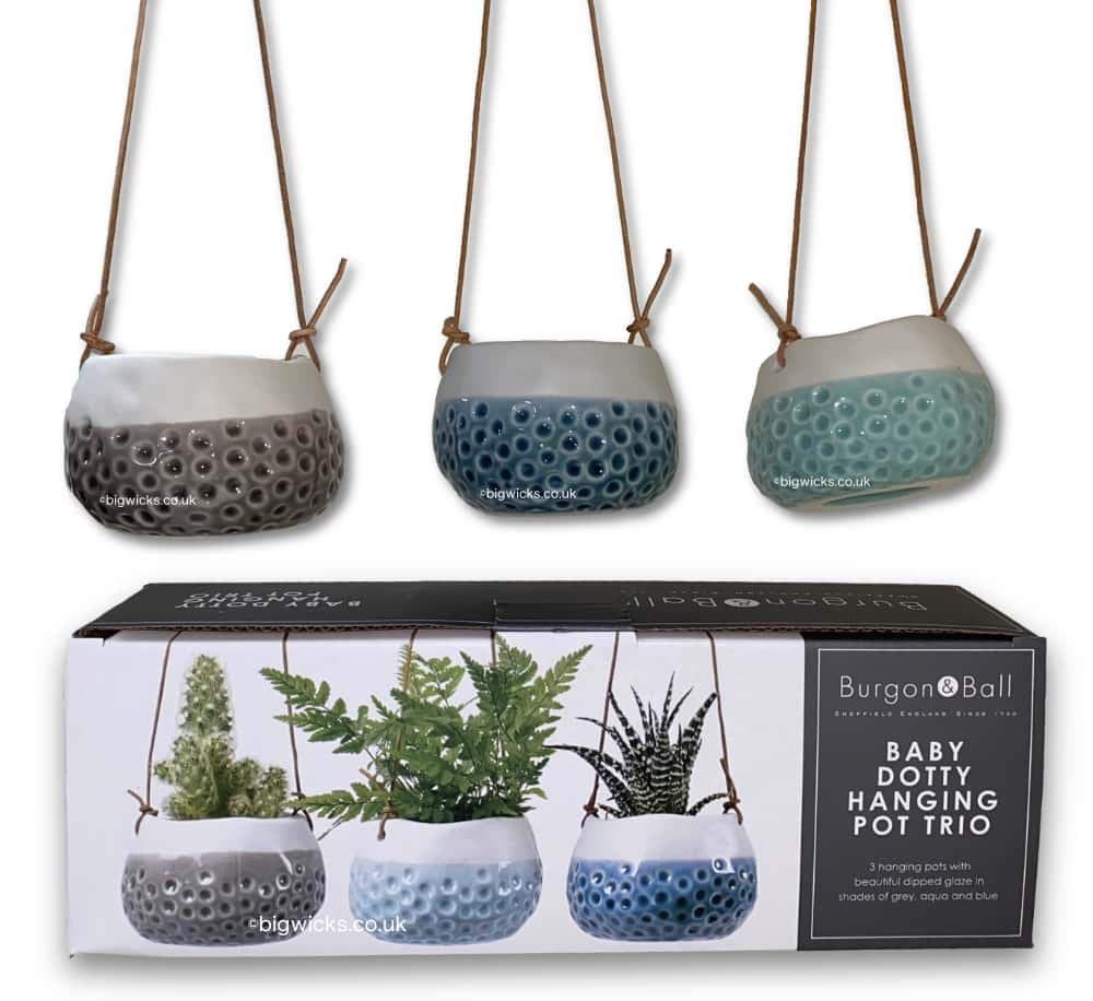 Burgon & Ball Baby Dotty Trio Hängetopf – 3er Set Für Sukkulenten, Mit Lederschnur, In Geschenkbox