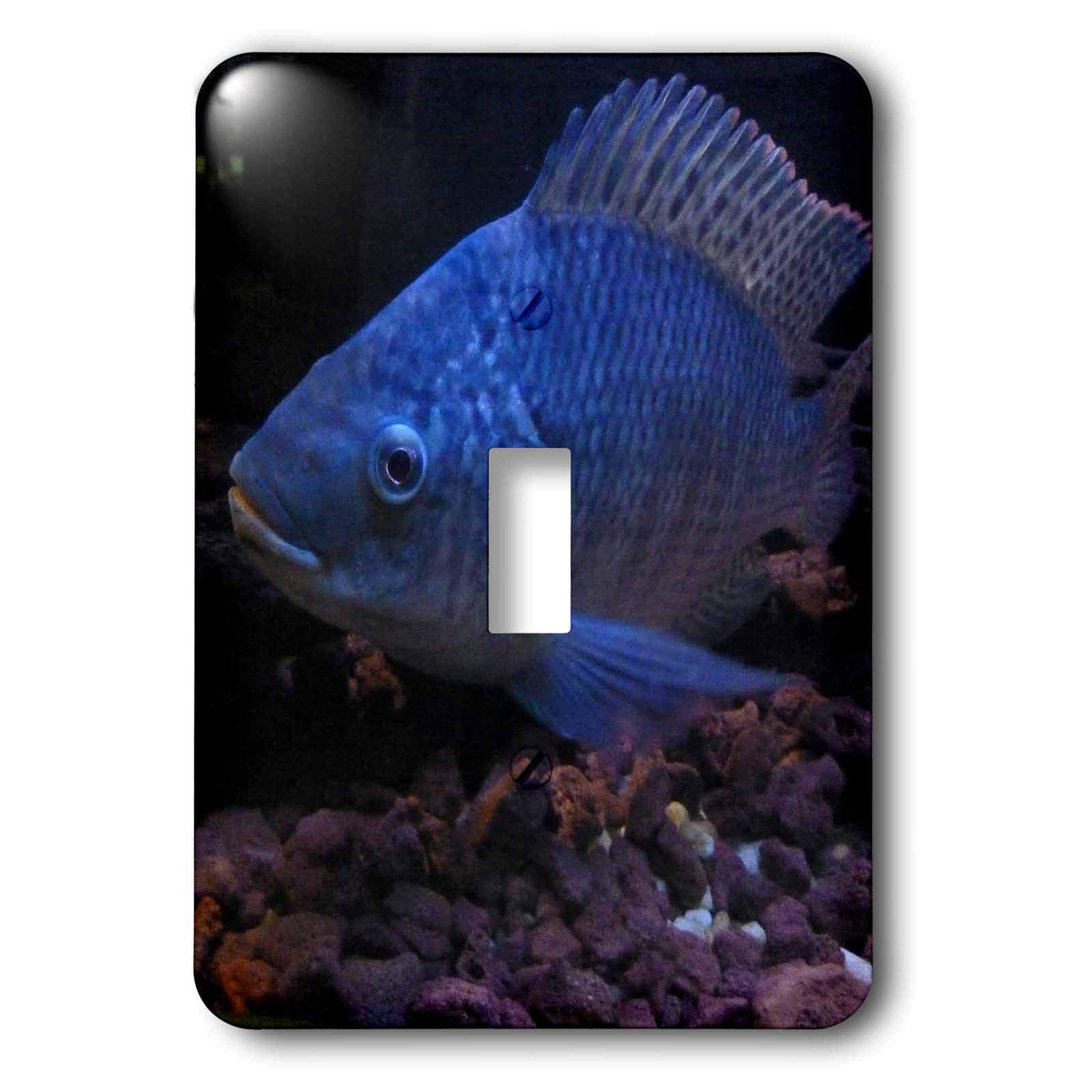 Grouper Bleu interrupteur à bascule 3dRose avec motif haute définition
