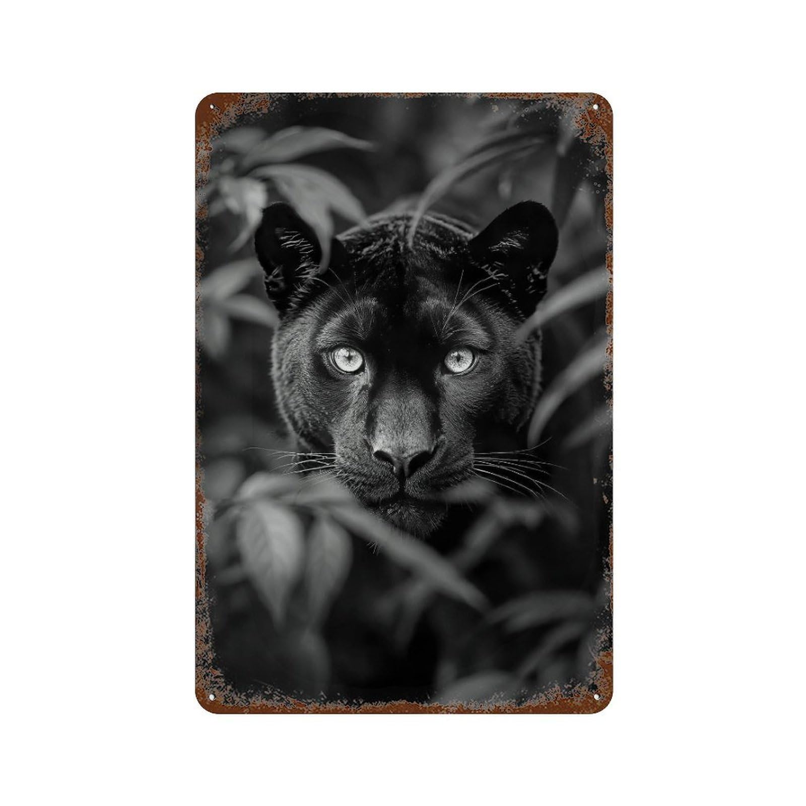 xiaoxiaoshen Black Panther in Forest Print Wall Decor Art Metal Tin Poster Modern Home Decor Art Home Bar Shop Decorations Vintage Sign 30x20cm
