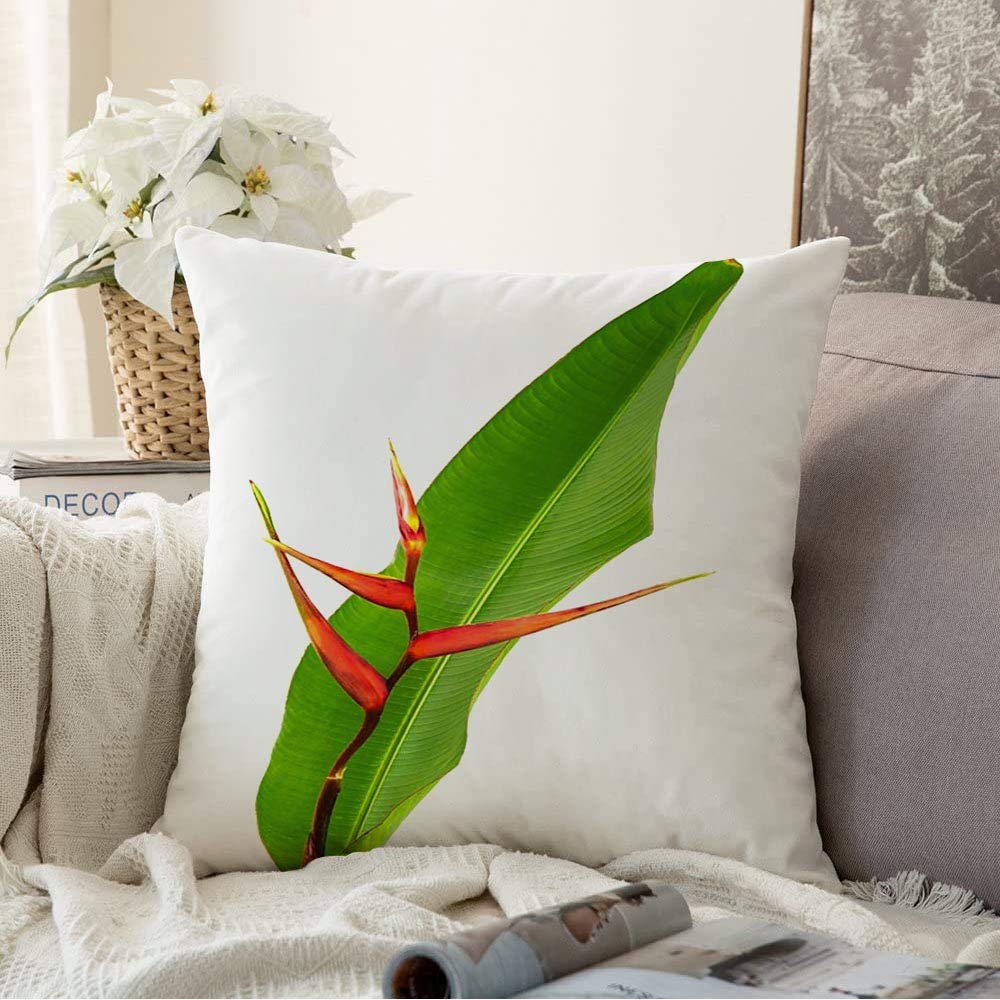 Pillow Cover Color Colorful Beautiful Tropical Flower Leaves Heliconia Bihai Nature Green Beauty Bloom Blooming Sofa Throw Pillow Cover Decorative Pillow Case for Couch Bed Car 16x16 Inch