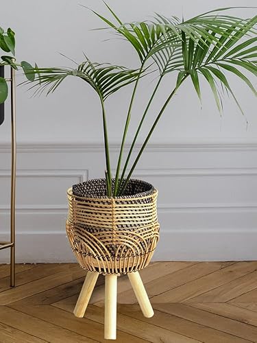 Miniatura 4 de Soporte tejido para plantas de interior, cesta de ratán, soporte para plantas, soporte de exhibición decorativo bohemio para plantas de interior,