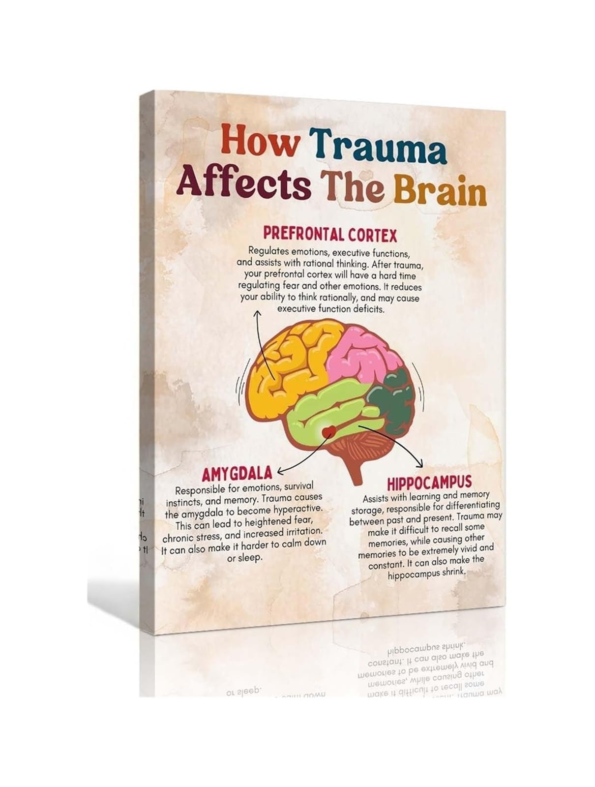 REIUAFWYGV How Trauma Affects The Brain Educational Poster Mental Health Awareness Psychology Infographic Office Decor