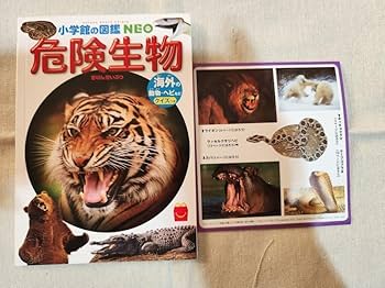 小学校の図鑑 NEO 12冊セット DVD4枚　マクドナルドミニ図鑑 Amazon.co.jp: マクドナルド ハッピーセット 小学館の図鑑NEO