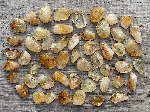 Image of GAF TREASURES 1 /2 LB Citrine Tumbled Stones, Polished Citrine Gemstone, Citrine Healing Crystals (Citrine)
