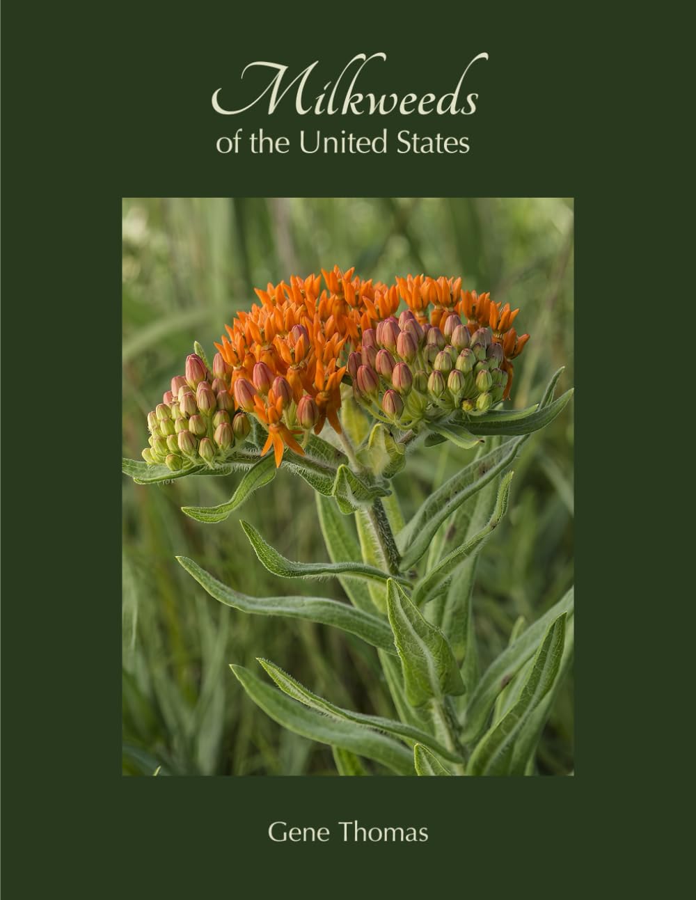 Milkweeds of the United States      Paperback – March 10, 2024
