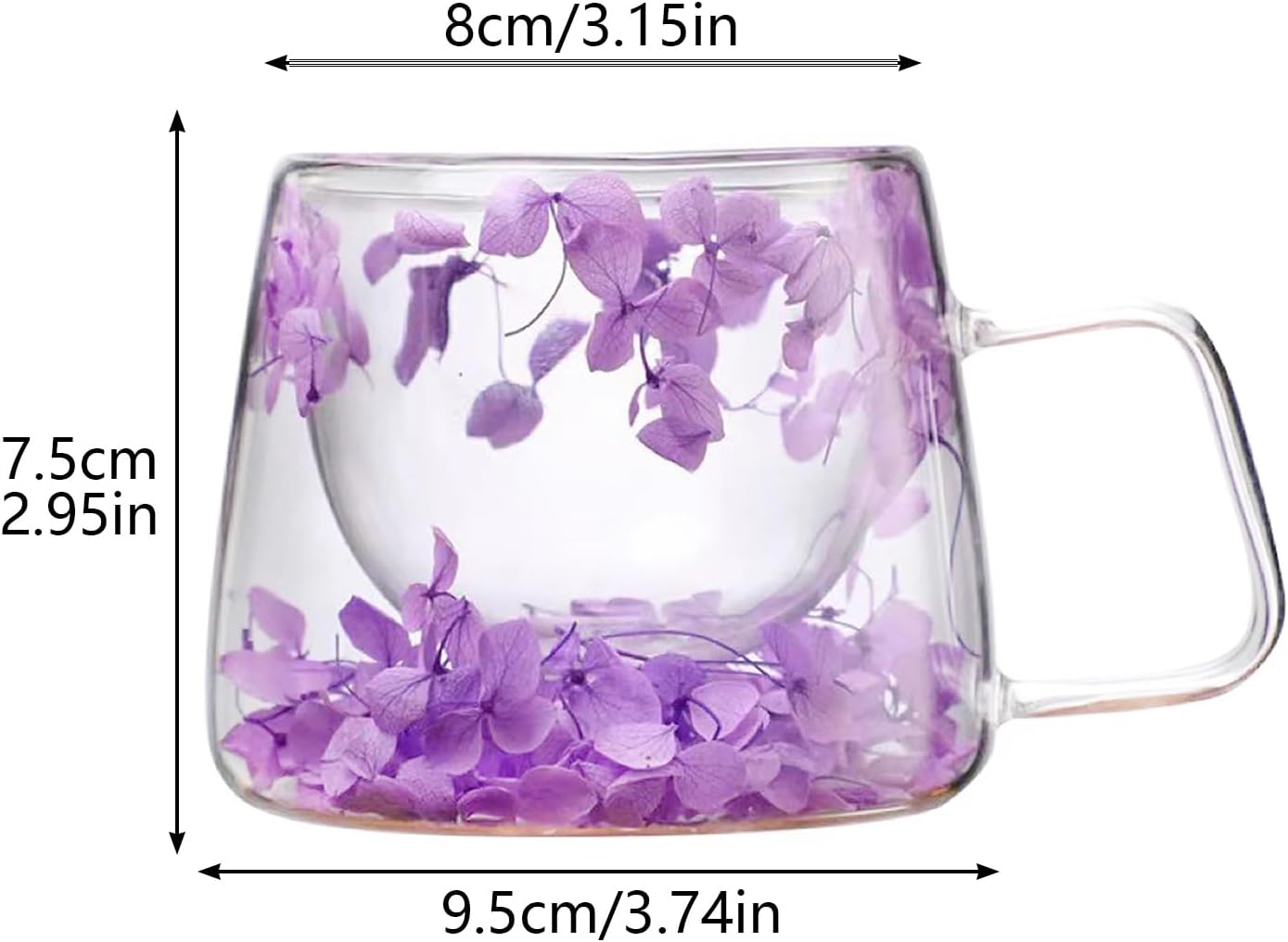 Tissting Double Walled Glass Cups 200ml/6.8oz, Floral Design with Handle