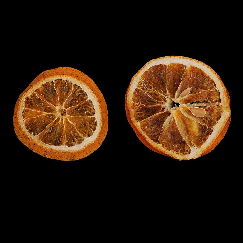 CALANDIS® 10X Pressed Natural Dried Fruits Orange Slices DIY Jewelry Photography Tools-picture-12