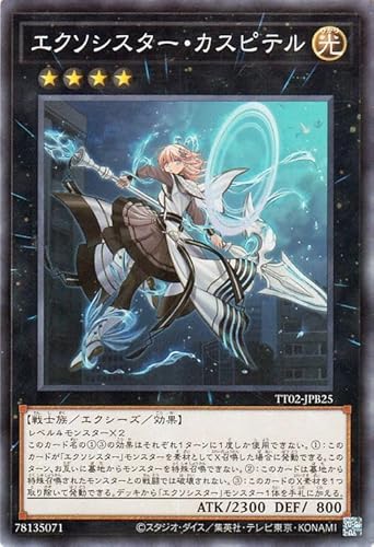 VYJ[h GN\VX^[EJXse(m[}) TACTICAL-TRY DECK ޖVgGN\VX^[iTT02j | GNV[YEʃX^[  m