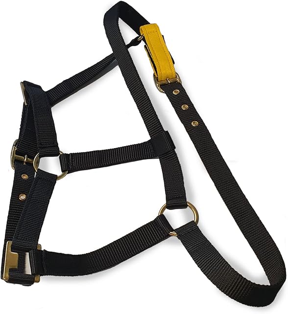 tigerbox® Field Safe Headcollar with Velcro Safety Release Strap - for Horse, Pony or Cob (Pony)