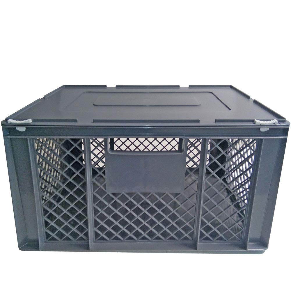 BRB XL Transportbox für Kleintiere/Katzen/Kleine Hunde, Seitenwände vergittert, Boden geschlossen - LxBxH 600x400x320 mm, mit Scharnierdeckel