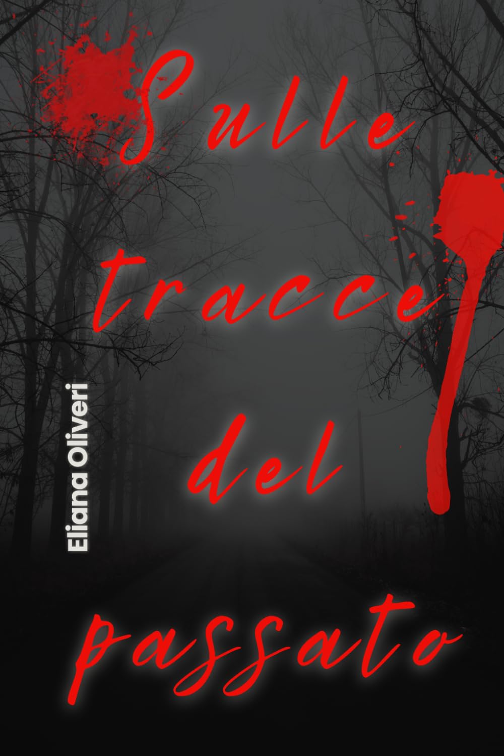 Sulle tracce del passato: Nulla resta sepolto per sempre (I Misteri di Pensani)
