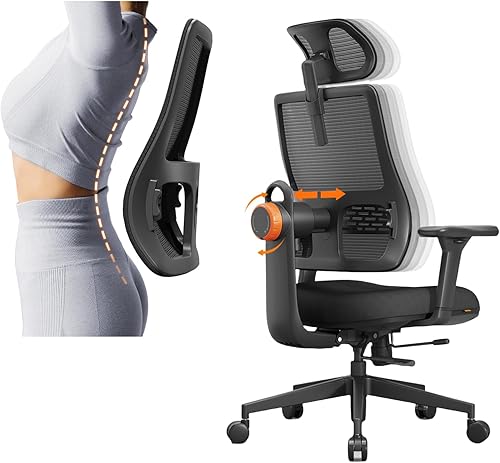 Newtral Silla ergonómica de oficina en casa, silla de escritorio de respaldo alto con soporte lumbar adaptativo único, reposacabezas ajustable,
