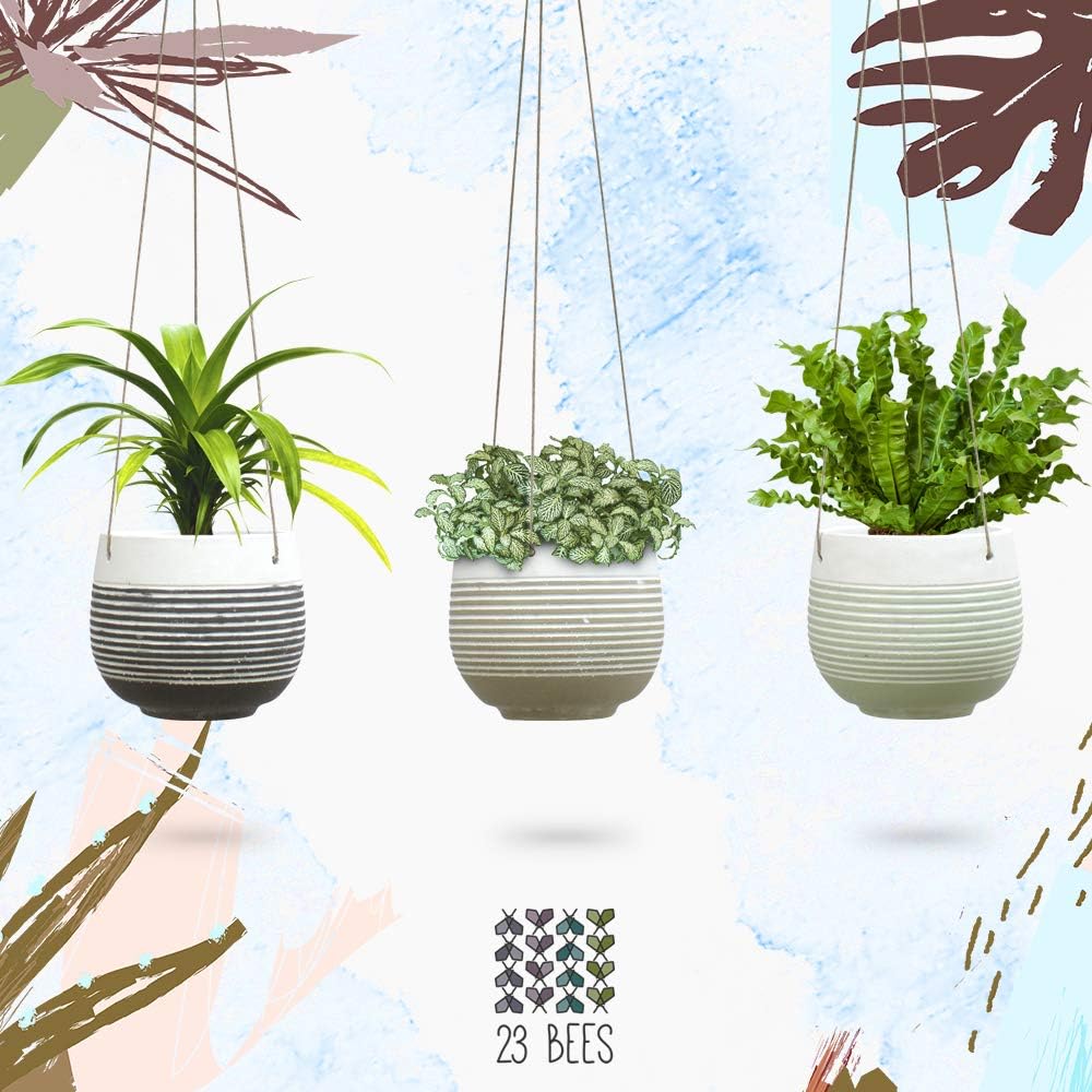 3 Pack Hanging Planter for Indoor Plants, White Concrete Pots, Round Air Succulent Holder Container, Cactus Pot with Rope Hanger, 23 Bees (3, Lines of Nature)
