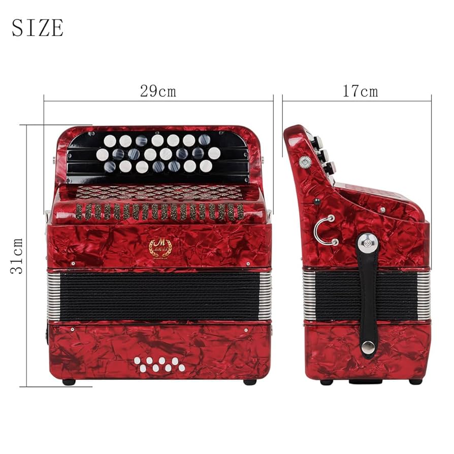 アコーディオン　美品　22キー　キーボードアコーディオン 61xTP7C0lRL._UF894,1000_QL80_.jpg