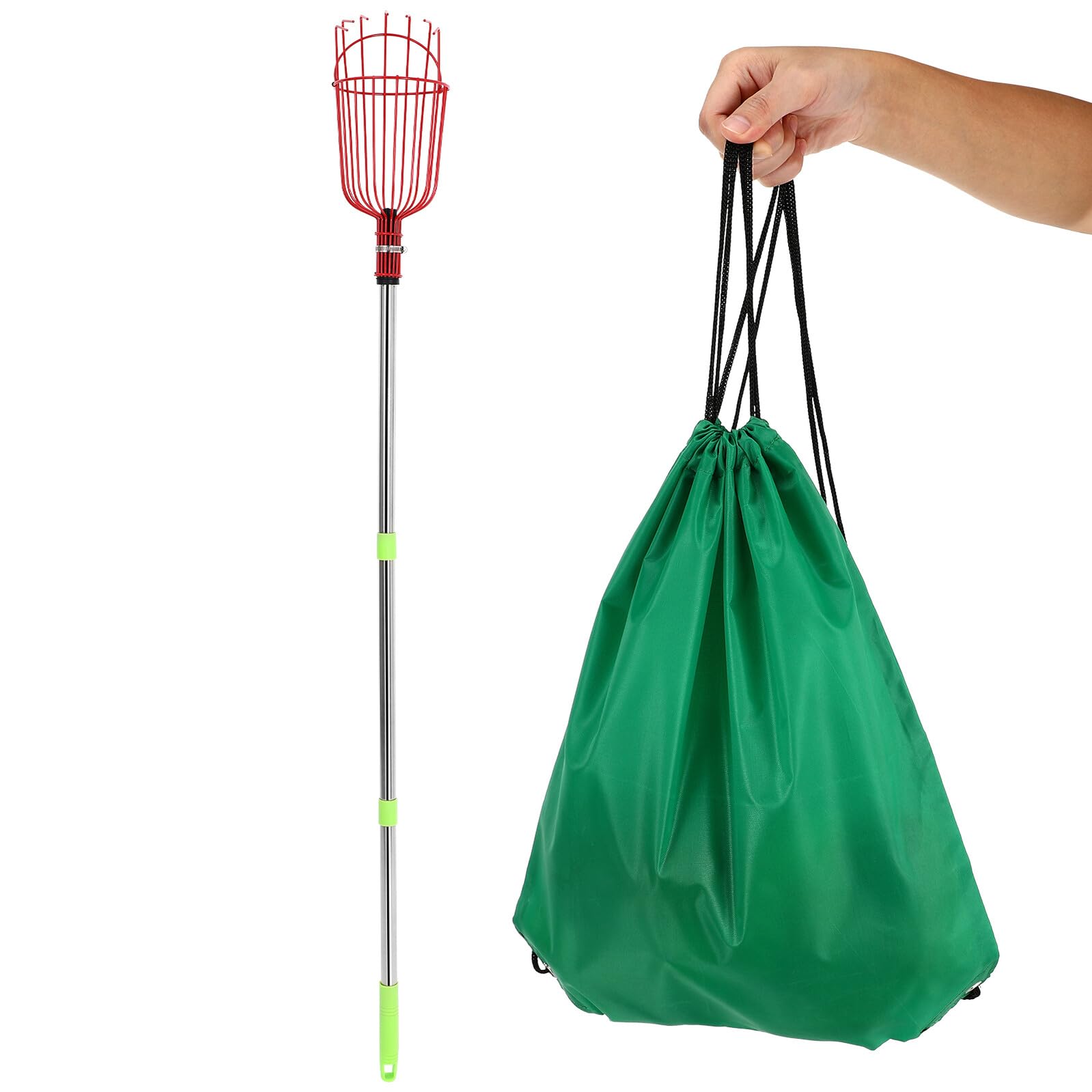 Raccoglifrutta Telescopico in Acciaio Inox 1,2 M Cestello Imbottito e Testa ad Artiglio, Strumento Leggero per Raccolta di Arance, Limoni e Pere da Alberi Alti, Utensile Versatile