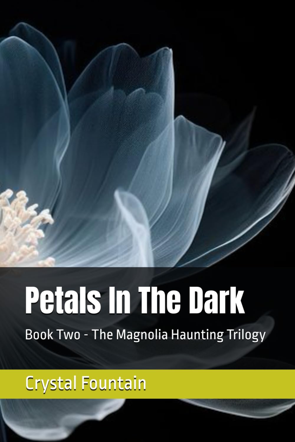 Petals In The Dark: 2 (The Magnolia Haunting Trilogy)
