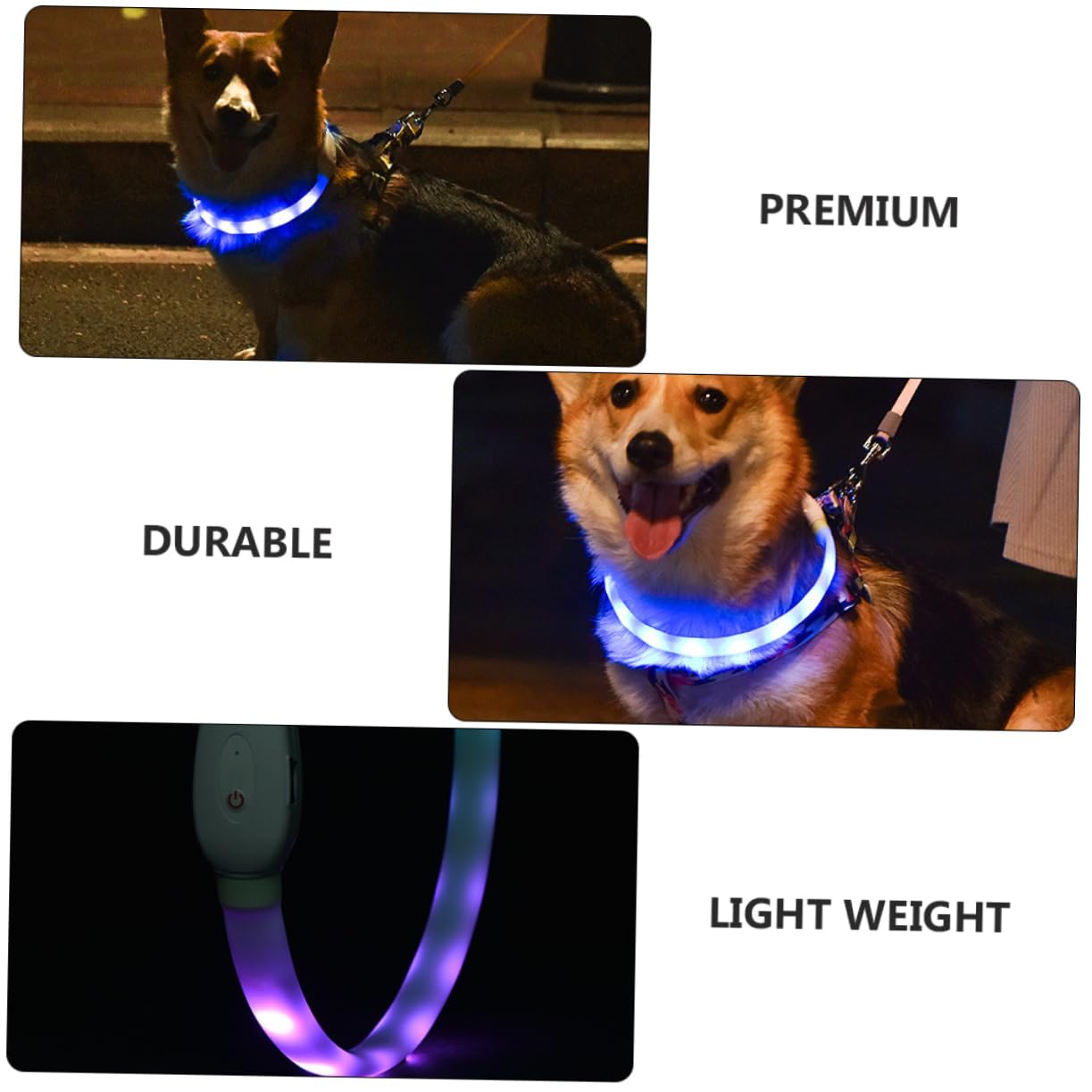 YARNOW 2ensembles Collier LED Pet USB Rechargeable Collier De Chien Flottant Glow Sécure Et Pratique