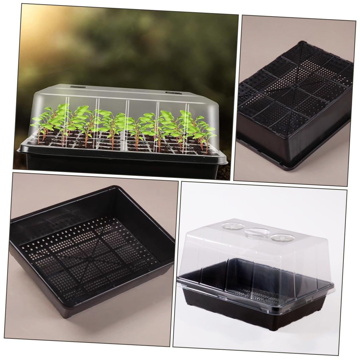Kisangel 1ensemble Plateau De Germination Plastique pour Semis De Bac Élevé pour Plantes Intérieur Et Extérieur pour Et Légumes