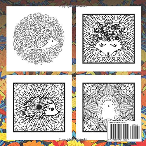 Hedgehog Coloring Book: Activity for Teen and Adult - Cute Animal - Stress Relief & Relaxation - Craft for Woman image 3