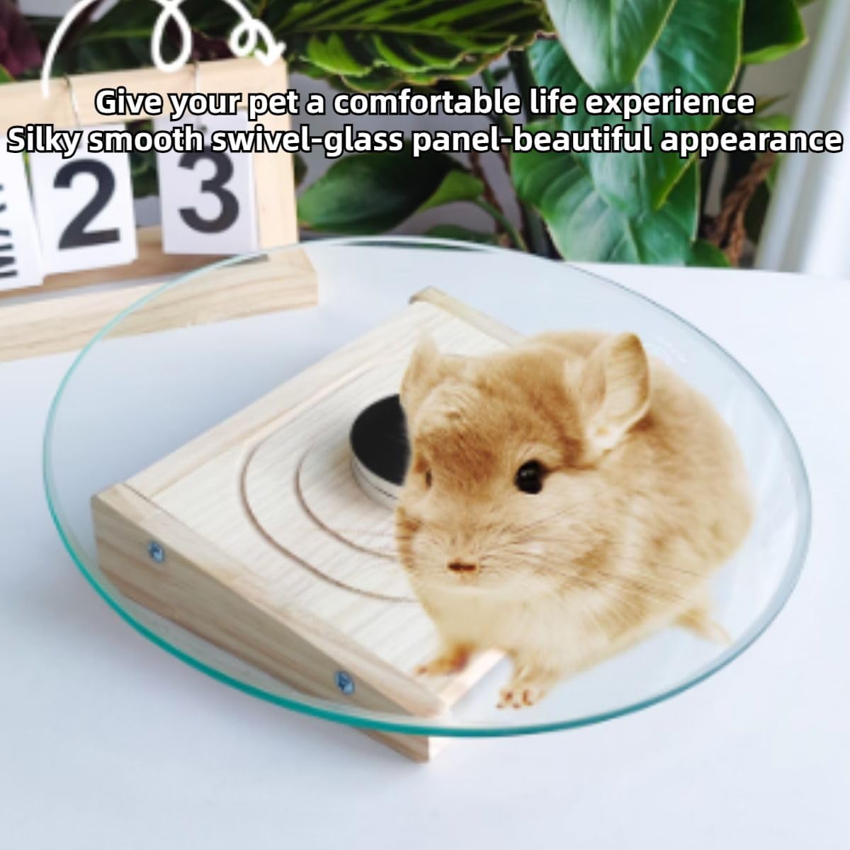 Chinchilla Toys, Glass Running Turntable Toy with Wooden Base for Small Pet, Rat Enrichment Toys, Running Wheel for Chinchilla, Rat, Gerbil, and Other Small Animals
