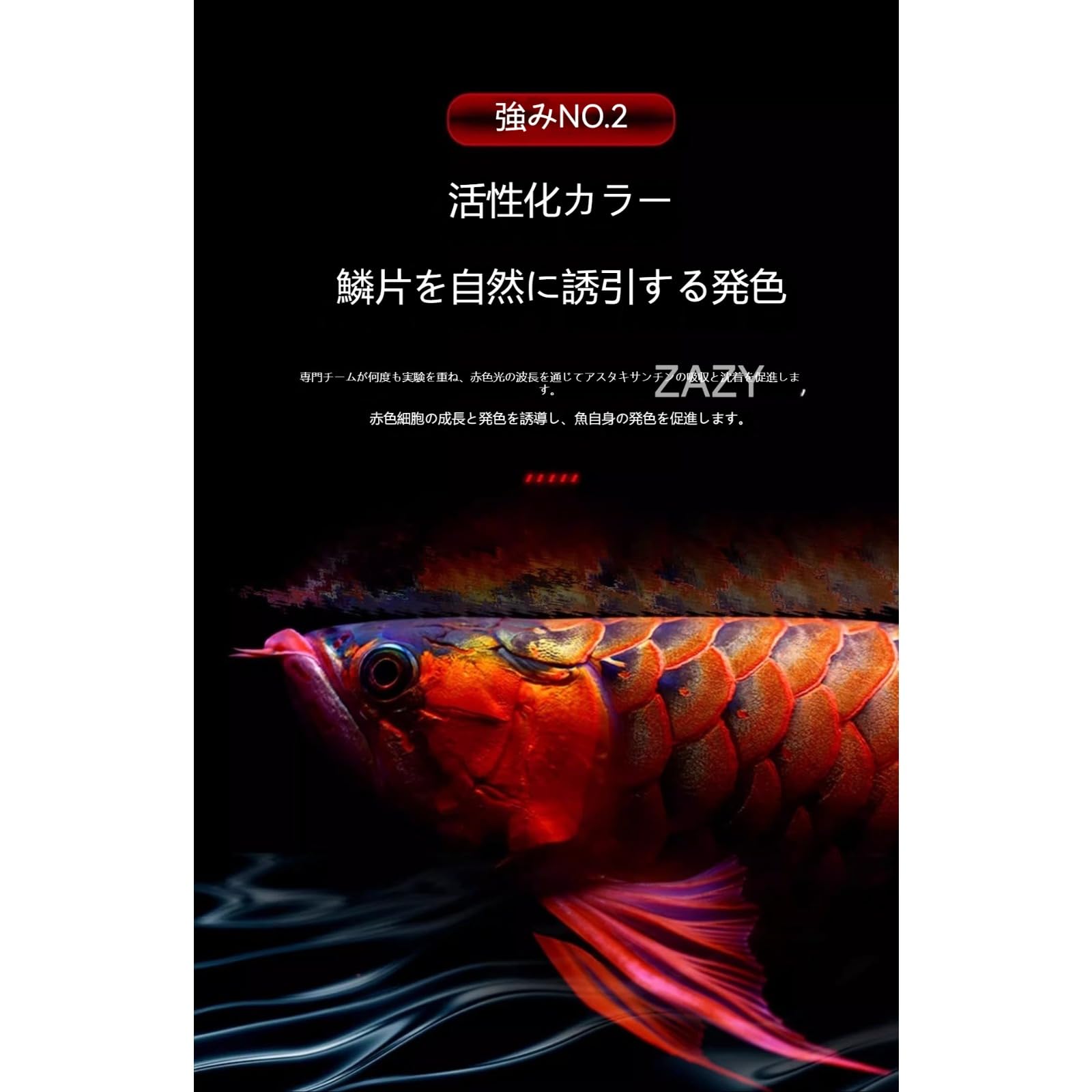 Amazon.co.jp: 【ZAZY】アロワナ用 LED 水槽ライト、防水仕様水中設置