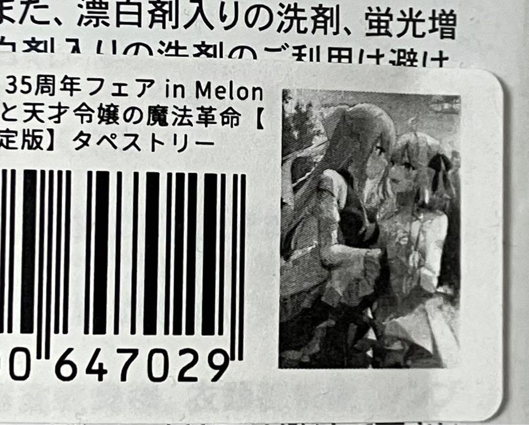 Amazon.co.jp: 非売品 転生王女と天才令嬢の魔法革命 タペストリー 