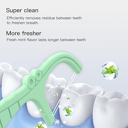 Mint Dental Floss Picks, 252 Count - Shred Resistant