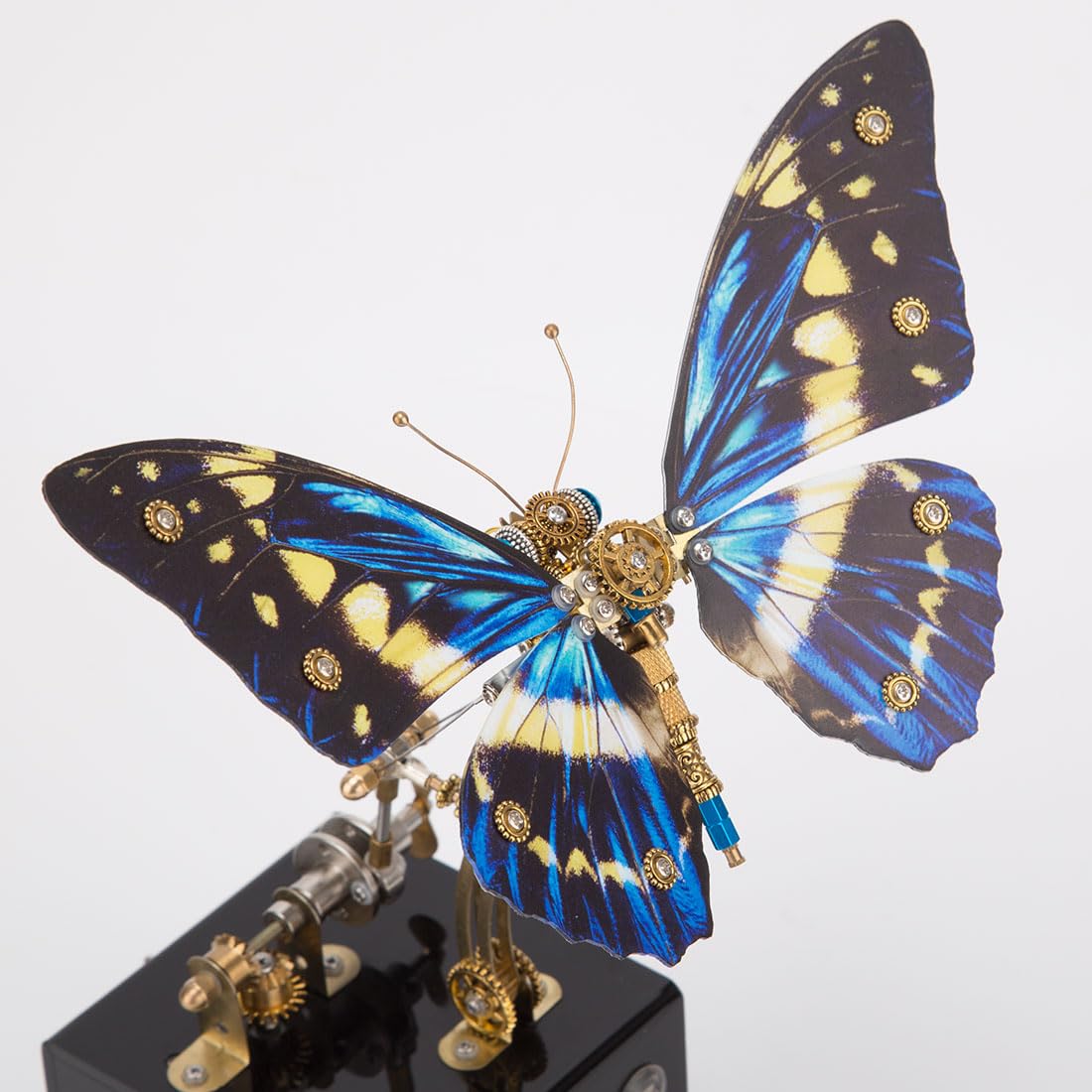 Amazon.com: Keetopteep 3D Metal Butterfly Model Kit, DIY Assembly