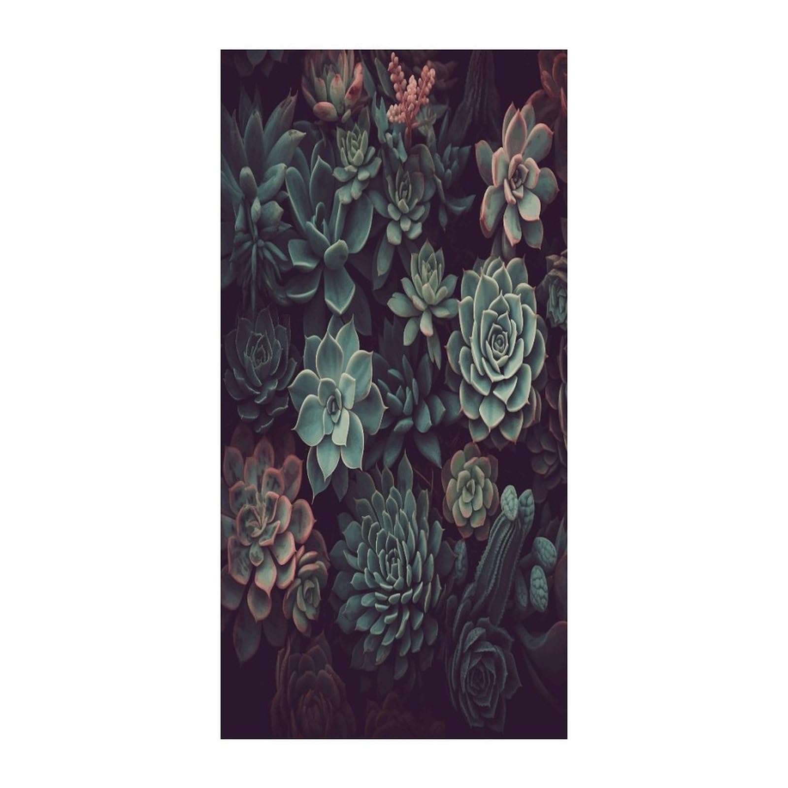 Adfgyerh Style Succulents2 Curtains，Polyester Blackout Extra Wide，Door Curtain， 35.4X 70.9 Inch For Temporary Room Dividers Bedroom Living Room，Room Darkening Curtains ，For Doorway Privacy For Wall Hanging Decorat