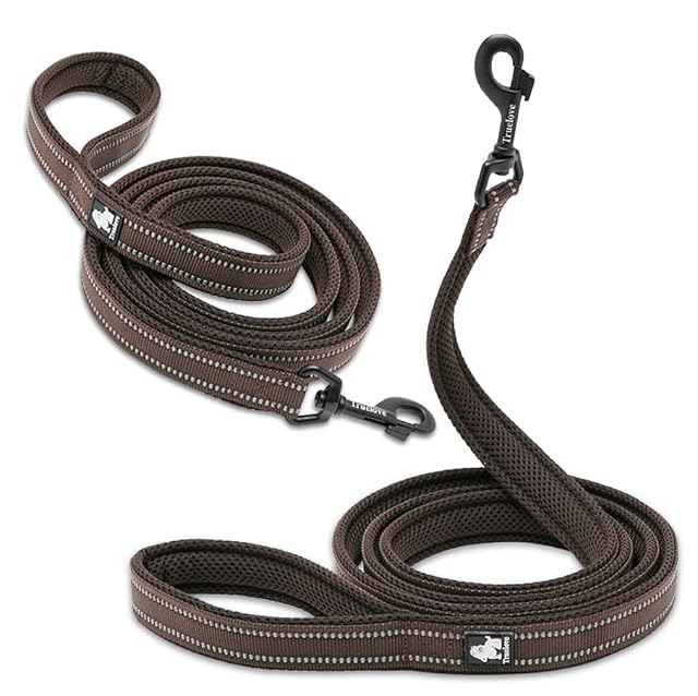 Foto 3 de 7 de WINHYEPET Dog Collar Reflective Sandwich Lining Nylon Webbing Comfortable and Safe Adjustable Buckle…