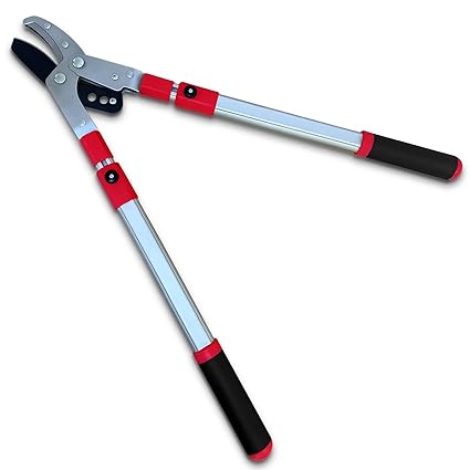 TABOR TOOLS GG22A Extendable Anvil Lopper with Compound Action, 27-40 Inch Telescopic Tree Trimmer, Long Handled Branch Cutter with ? 2 Inch Cut Capacity, Chops Thick Branches with Ease.
