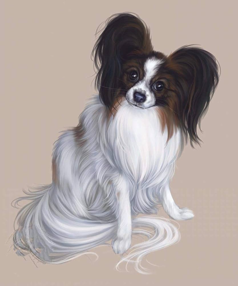 ★パピヨン①〜⑨★ 価格の安いパピヨン♂【動画あり】 / ペットショップ【かねだい】