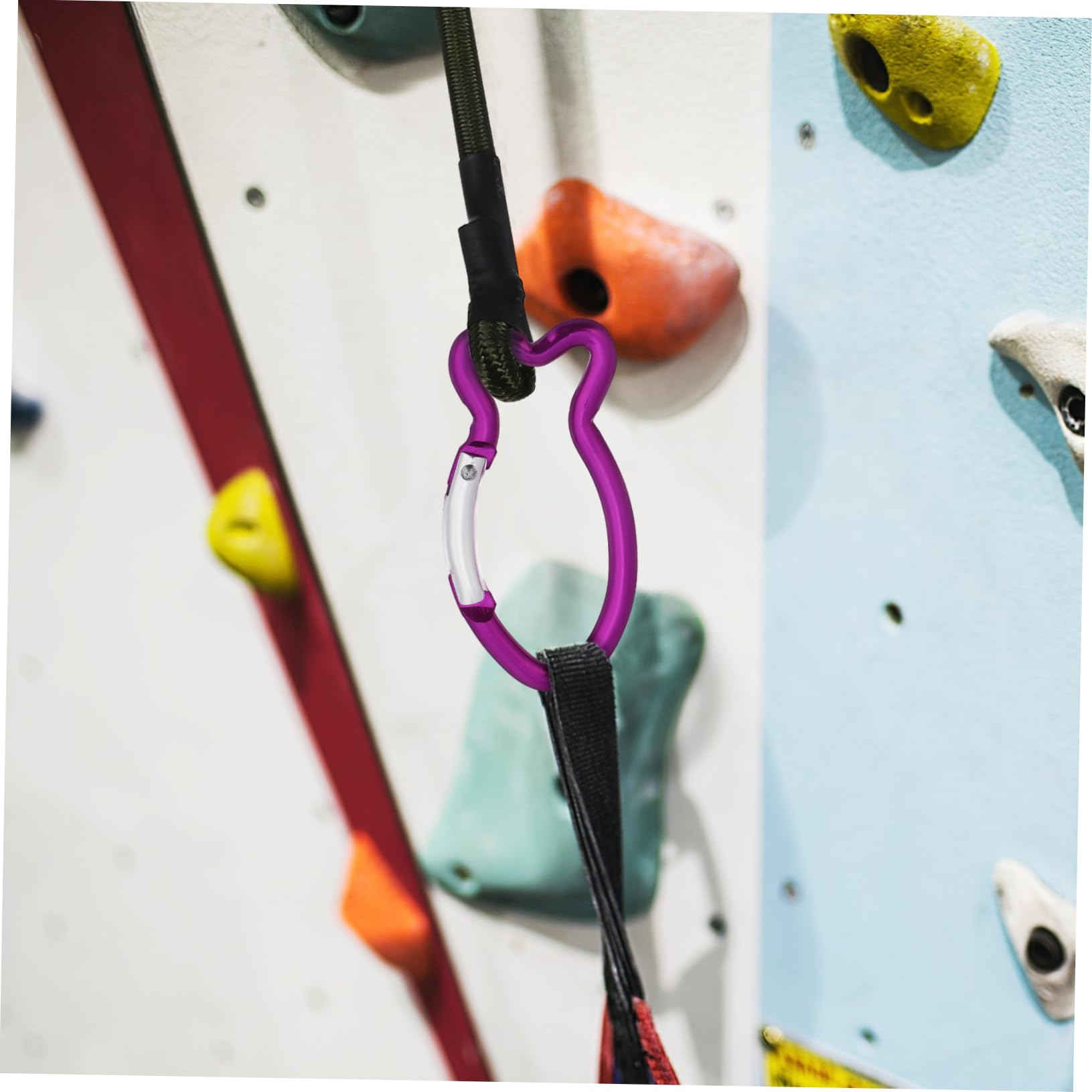 Abaodam Mousquetons Porte-clés en Aluminium Forme Poisson 10 Pièces Violet Clip à Ressort Léger Robuste pour Sports et Activités de Plein Air et Randonnée