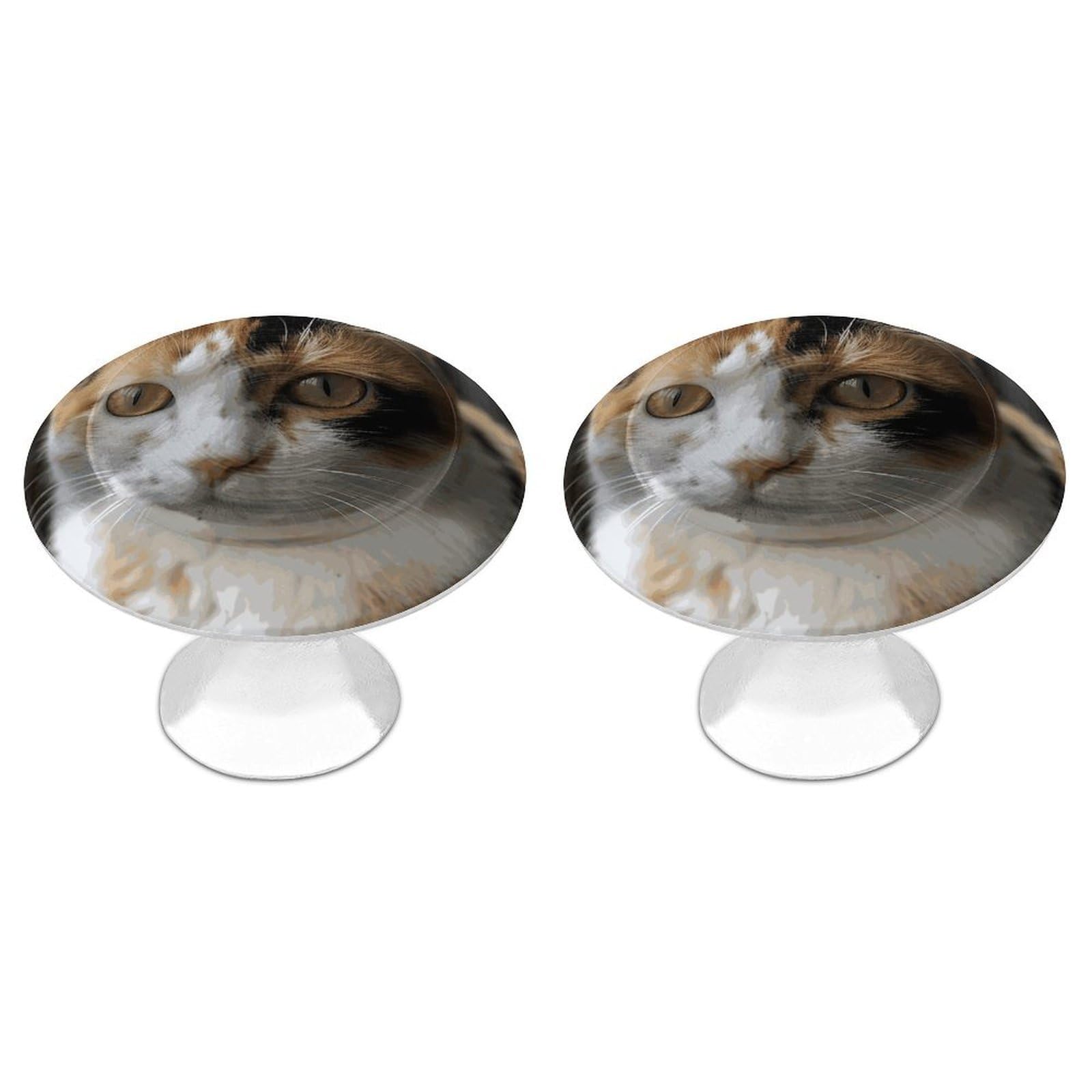 Btcowzrv Style A Cat 2 Pack Cabinet Knobs Drawer Pulls