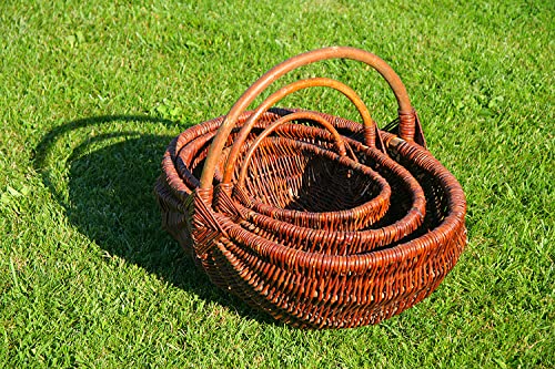 Weidenprofi Weidenkorb, Erntekorb aus Weide, oval mit Henkel, Größe (LxBxH): 38 x 22 x 16 cm