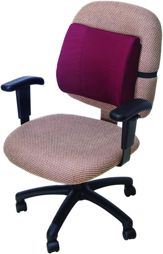 Essential Medical Supply Molded Lumbar Cushion with Elastic Positioning Strap in Grey : Health & Household