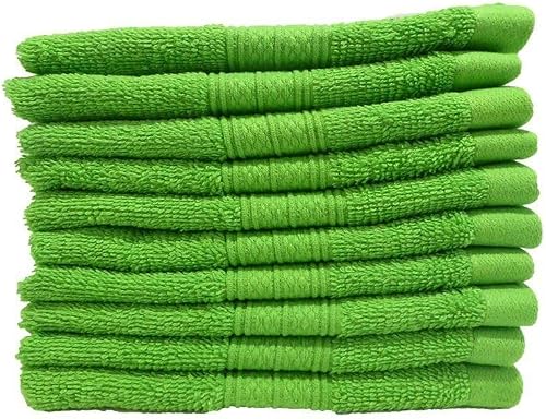 Bunty Plush 450GSM Face Cloth 10-Piece Set, 30 cm x 30 cm Size, Jasmine Green