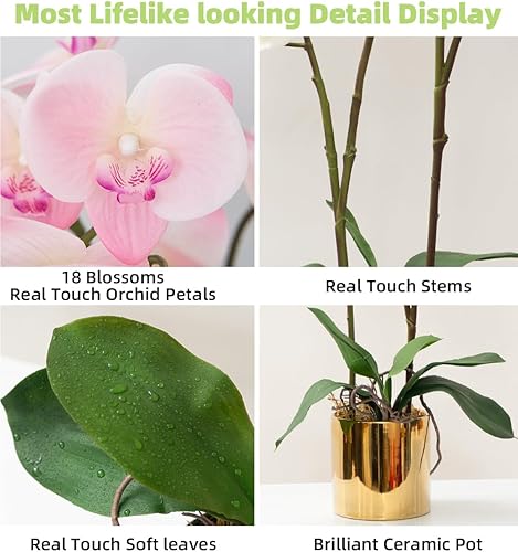 Vista 33 de CXGS Plantas artificiales de orquídeas artificiales de tacto real, orquídeas falsas en jarrón de cerámica de 20.9 pulgadas, orquídea falaenopsis