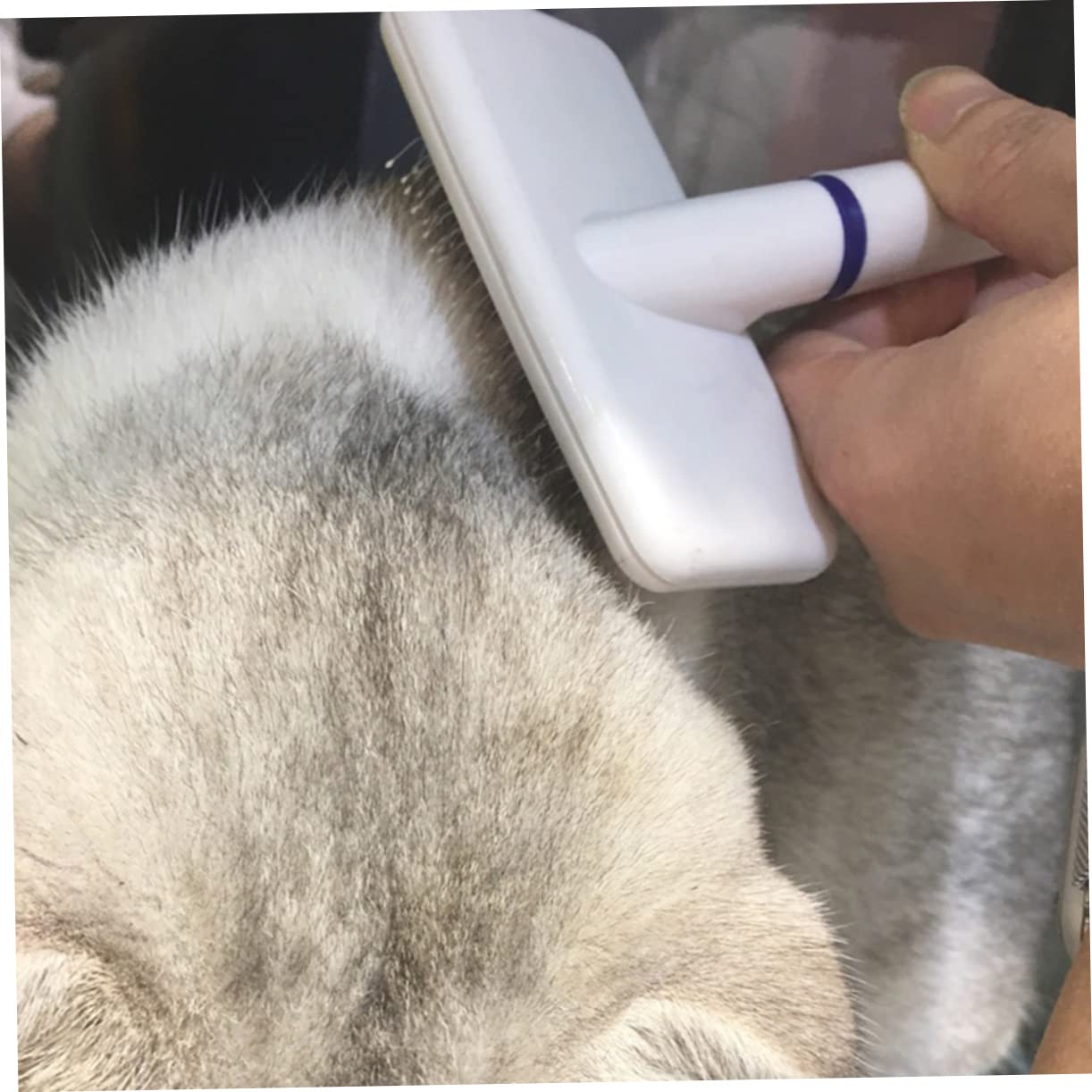 Toddmomy 4piezas Cepillo Profesional Para Mascotas Cepillo Quitapelos Para Perros y Gatos Diseño Compacto y Ligero Para Eliminar Pelo Suelto y Masajear La Piel Accesorios De Cuidado De
