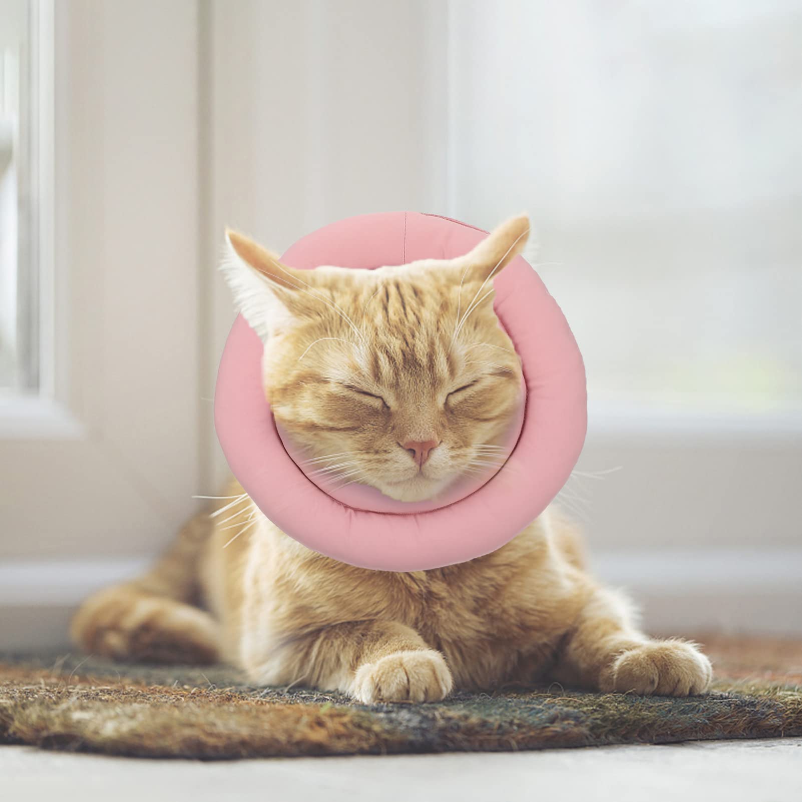 POPETPOP 3pezzi Collare Protettivo Per Gatti Collare Elisabettiano Per Antileccamento e Protezione Ferite Facile Da Indossare e Rimuovere Adatto Per Bagno e Toelettatura Per Gattini e Cani