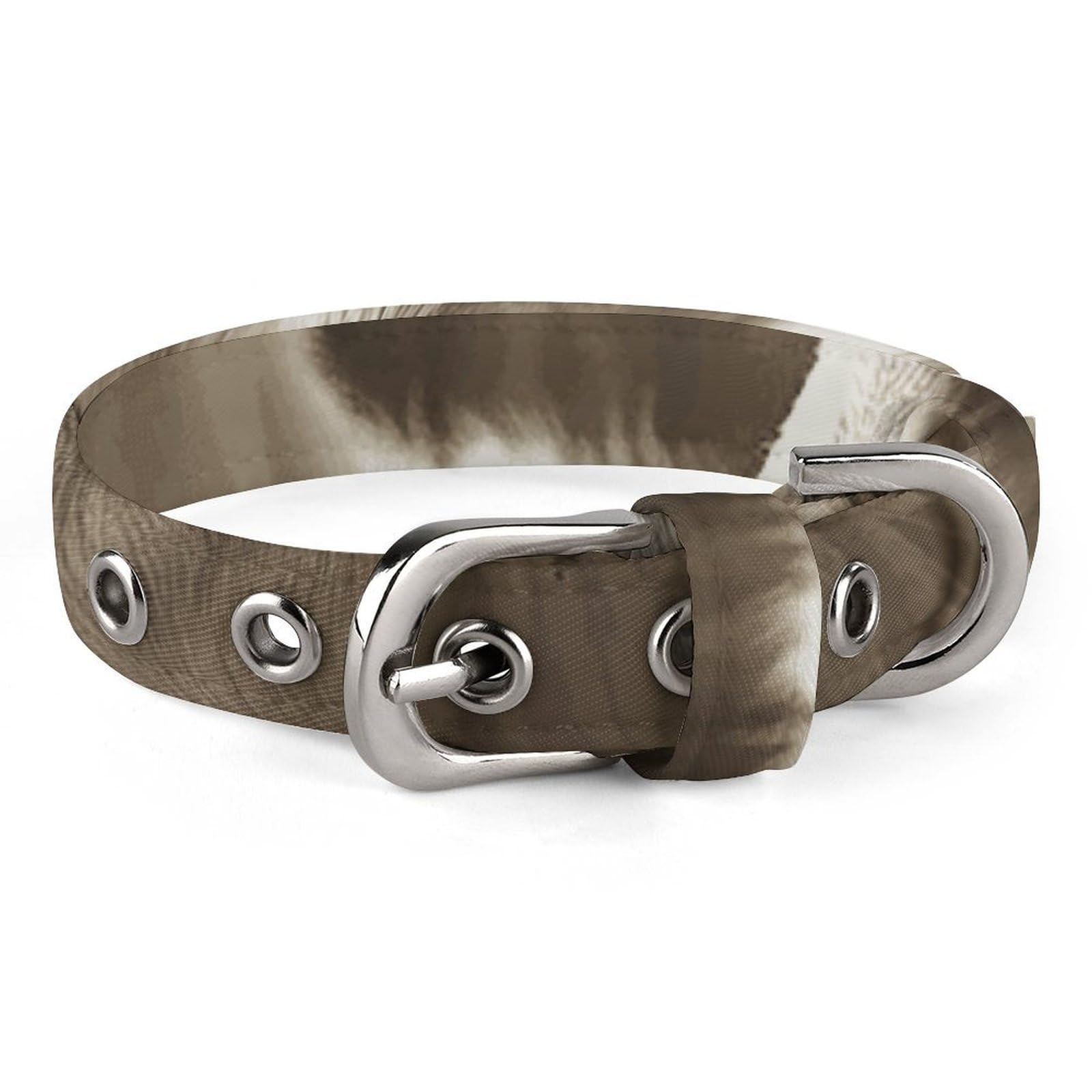Collier réglable pour chien idéal pour les promenades quotidiennes en ville