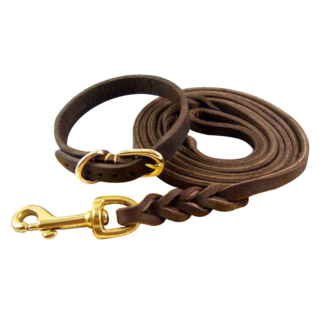 1.6M Hundeleine und Halsband Echtleder Hundführleine Haustier Schleppleine Lederleine mit Hundehalsband Halskette Martingal Dog Collar Halsbandleine für Welpen Klein Mittlere Hunde (Geflochten, XS)