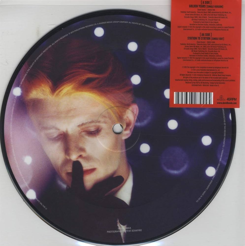 David Bowie: The Golden Years 写真集 英語版 David Bowie: The Golden Years 写真集 英語版