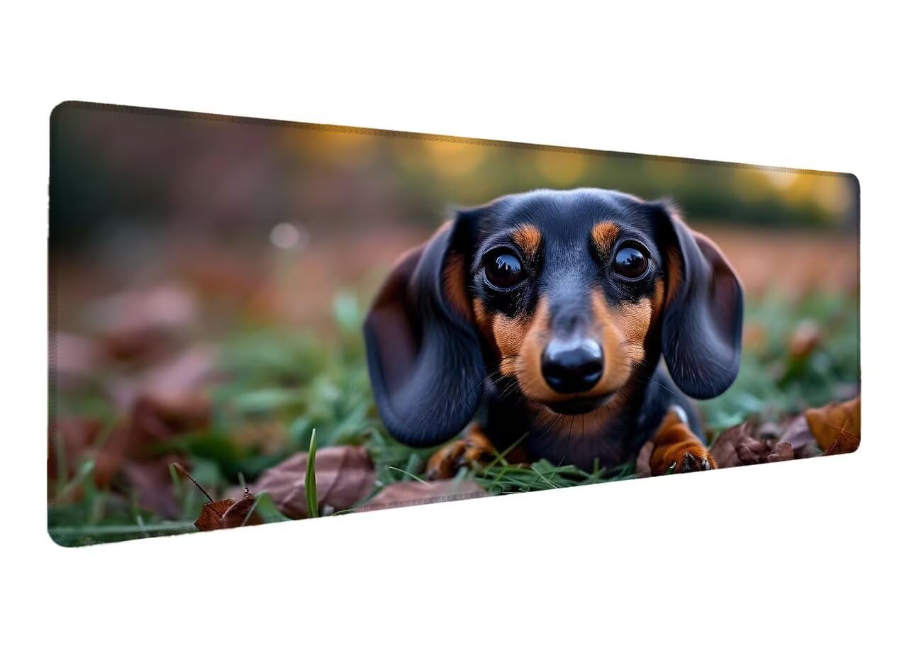Podkładka pod mysz do gier dla psów, podkładka pod mysz XXL 1200 x 600 x 3 mm, rozszerzona mata antypoślizgowa na biurko, wodoodporna powierzchnia, szyte krawędzie, zmywalna podkładka pod mysz dla