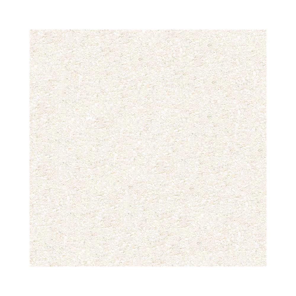 Yexati Natures Ocean Live Reef Sand - Sabbia da 9,1 kg, Colore: Bianco Grosso