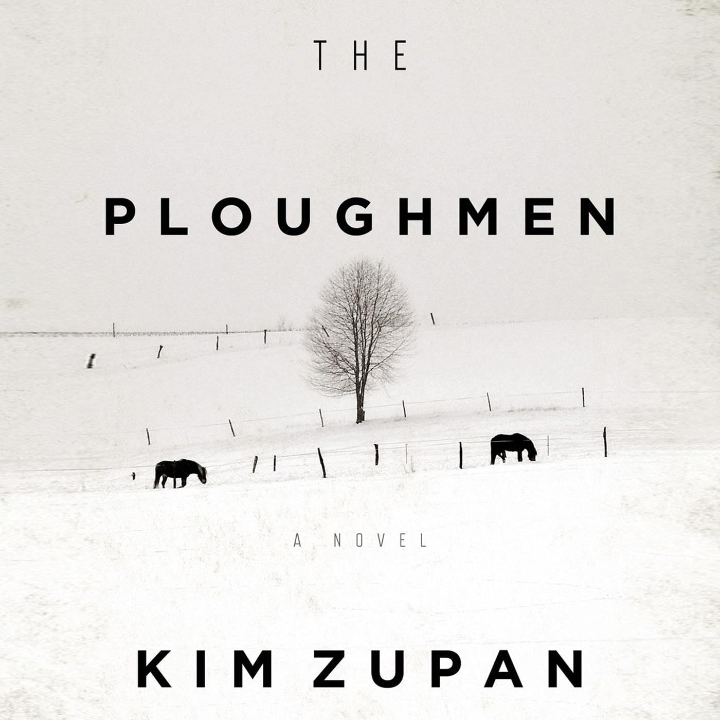 Cover art for The Ploughmen