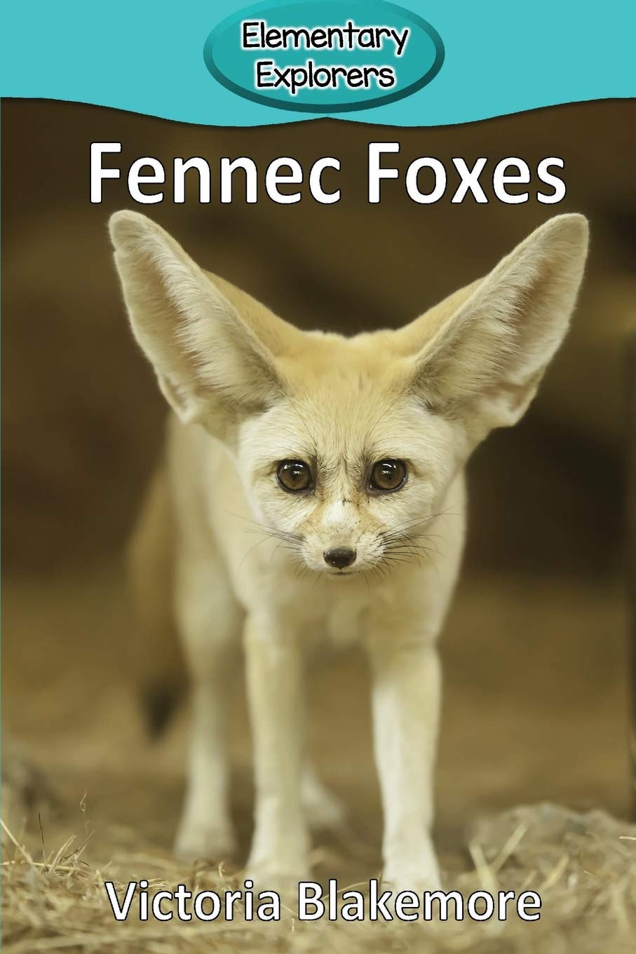 Fennec Foxes (Elementary Explorers)